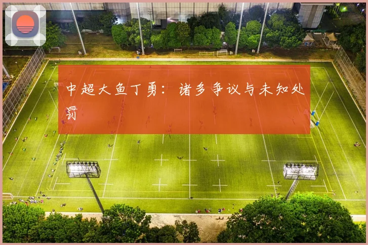 中超大鱼丁勇：诸多争议与未知处罚