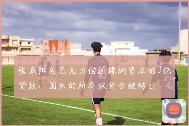 张康阳或已无力偿还橡树资本的3亿贷款，国米的所有权将会被转让