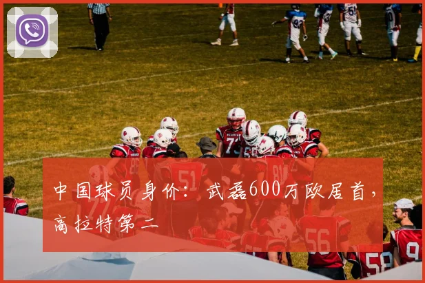 中国球员身价：武磊600万欧居首，高拉特第二