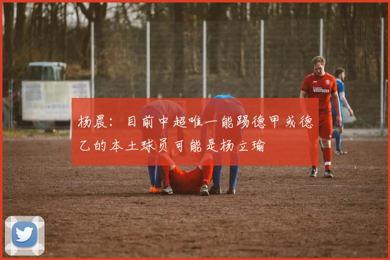 杨晨：目前中超唯一能踢德甲或德乙的本土球员可能是杨立瑜
