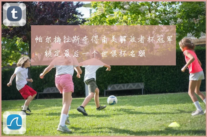 帕尔梅拉斯夺得南美解放者杯冠军，锁定最后一个世俱杯名额