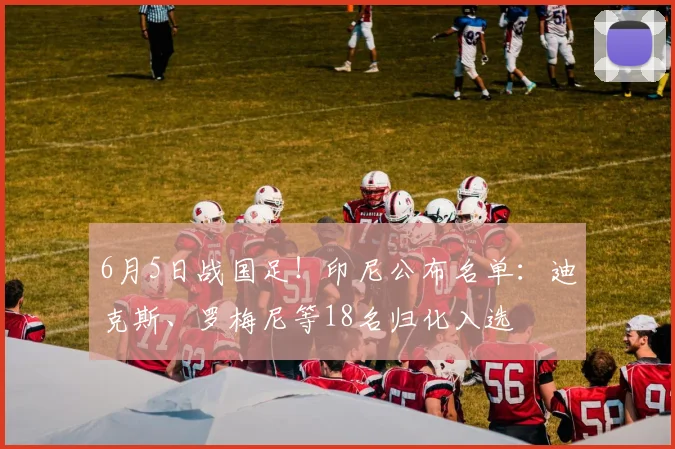 6月5日战国足！印尼公布名单：迪克斯、罗梅尼等18名归化入选